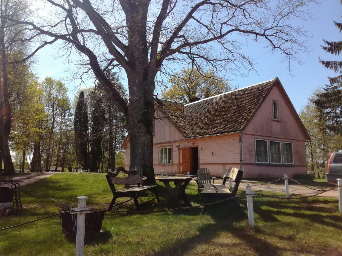 Lauku Viesu Maja Bajari Pension Rucava Buitenkant foto